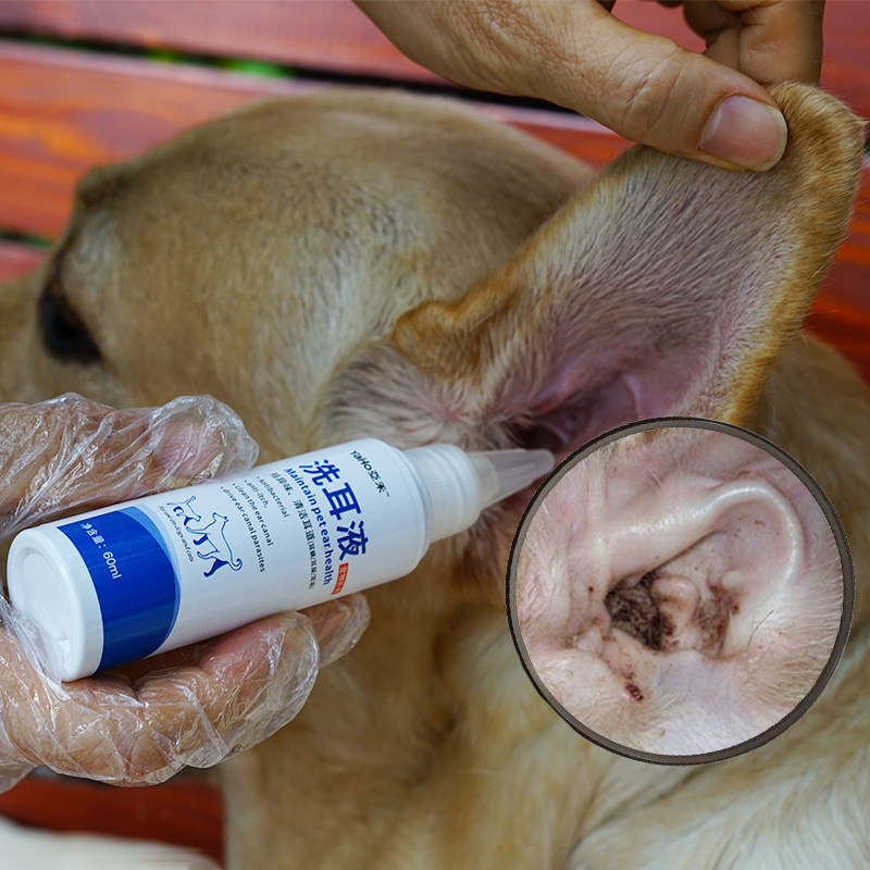 Dog Drop Ear Mite Dog Ear Mite Dog With Ears Clean Ear Lotion Dog Ear Oil Young Dog Cleaning and Pet Supplies