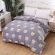 San hô nhung đơn mảnh mùa đông dày ấm flannel quilt cover sang trọng 1,8m giá vé nhung hai mặt