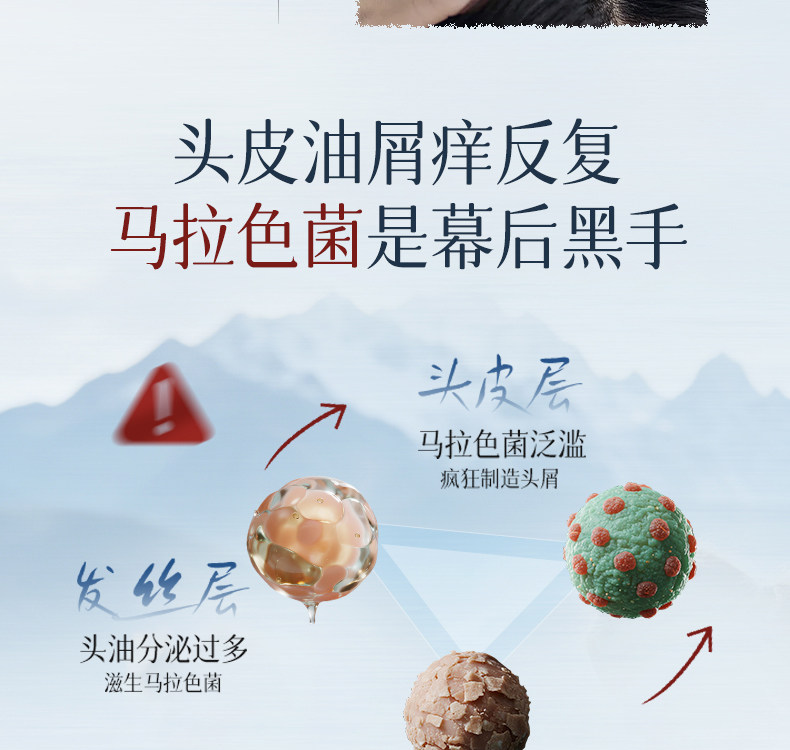 安享好物 安享A级洗发水-韩方五谷二硫化硒 柔香洗发水