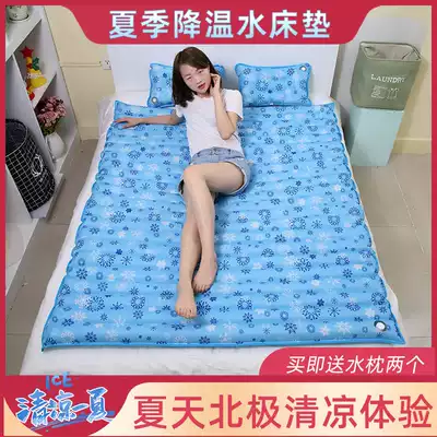 Waterbed ice cushion mattress water cushion household double water bag filled with water fun bed cooling ice mattress summer