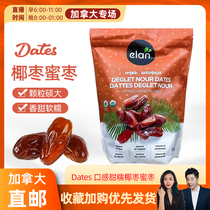 cici Canada Dates Date Palm 1KG