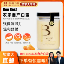 cici Canada Bee Best farm home-grown native ecological high concentration wild mature white honey 375g
