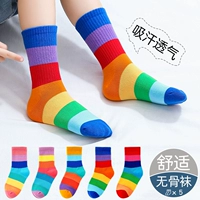 【C01 Rainbow Nocks】 5 пар чистого хлопка без костей