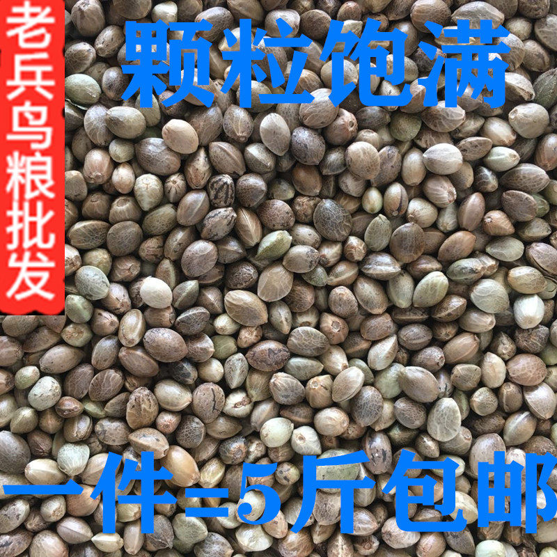 Medium-sized hemp seeds, hemp seeds, parrot bird food, hamster squirrel food, pigeon food, bird food, 5 catties, 2021 new goods