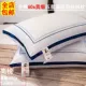 Áo gối cao su trẻ em Áo gối đơn 30 × 50 Áo gối đơn cho bé nhỏ Áo gối cotton nguyên chất cotton nhớ áo gối - Gối