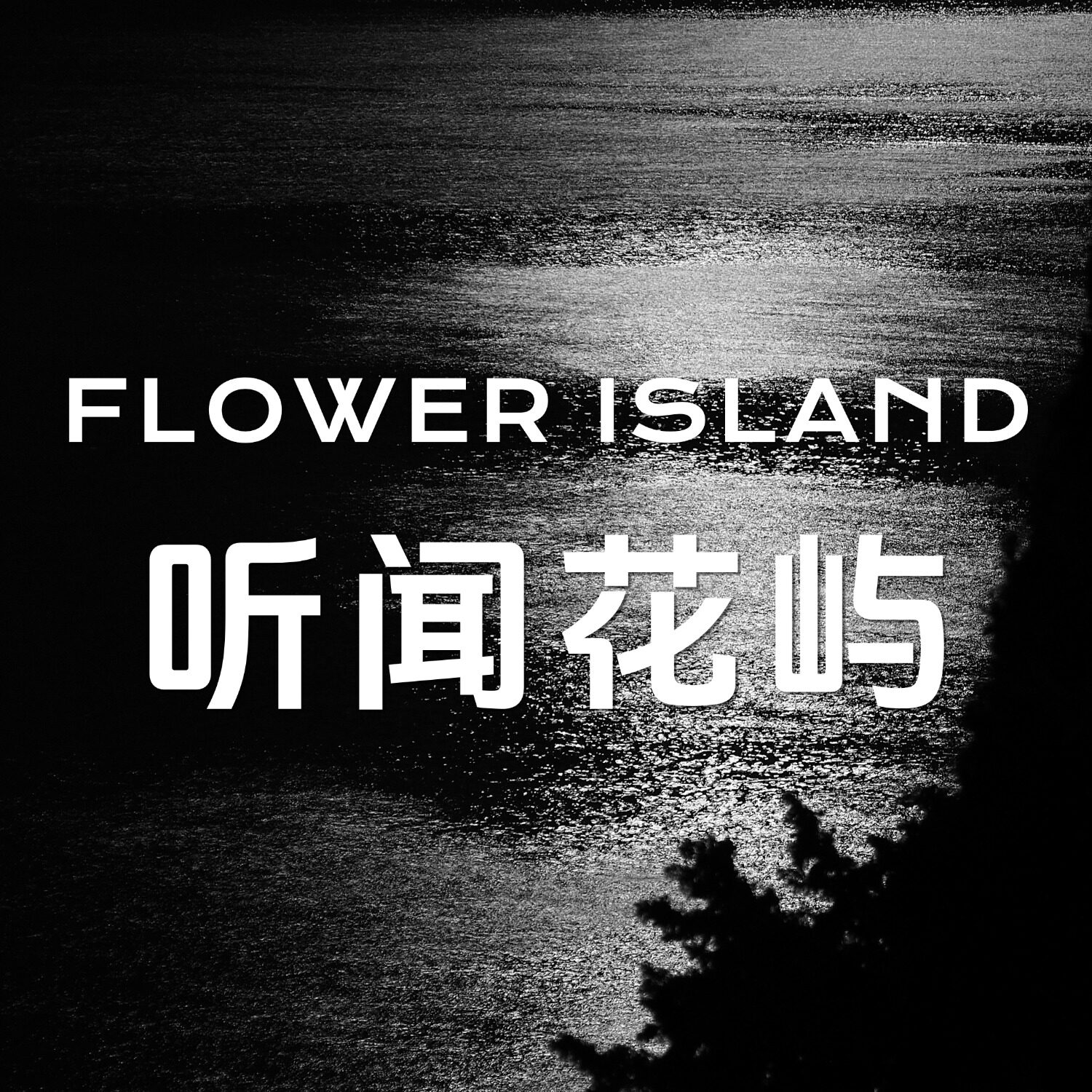 听闻花屿