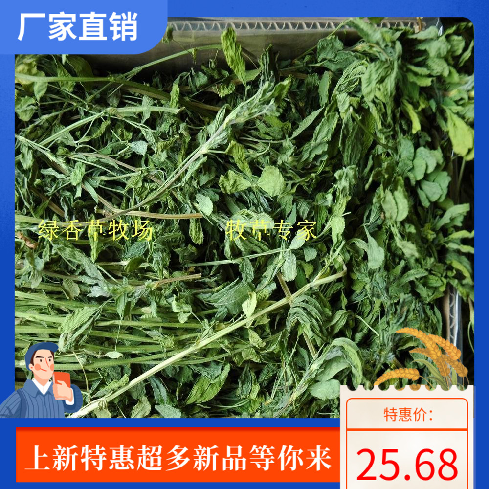 22 Years Purple Flowers Clover Grass New Grass Pet Rabbit Grass Grinding Tooth Rabbit Grain Gross 1 kg