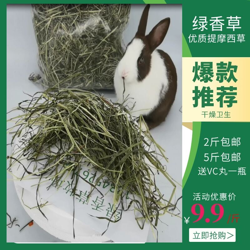 2022 New mention Moshe grass 500 gr dry grass guinea pig nutrition rabbit grain dragon cat Dutch pig grass feed