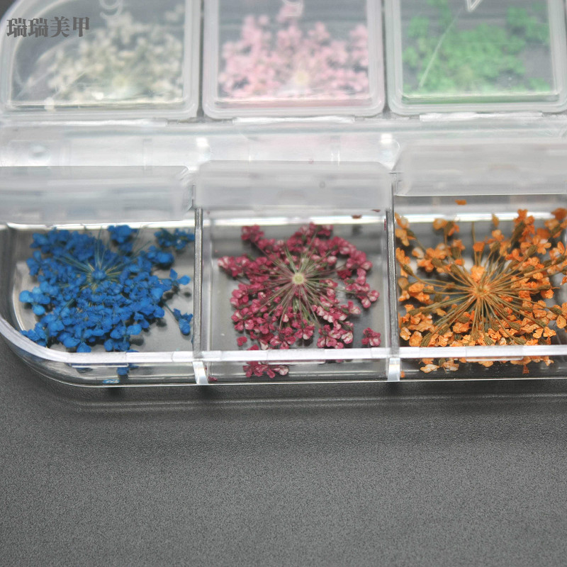 Dụng cụ làm móng Nail Snowdrops Hoa khô tự nhiên Hoa ép 12 Bộ màu - Công cụ Nail dũa móng