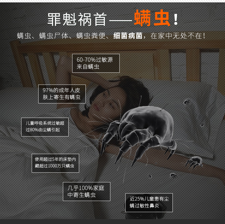 bình xịt raid Hộ gia đình ngoài mite phun chống mạt để mạt giường dùng một lần thuốc diệt côn trùng tiệt trùng và khử trùng - Thuốc diệt côn trùng bình xịt muỗi ruồi
