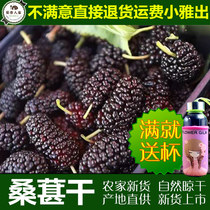 Mulberry dried sour plum soup raw material Mulberry Mulberry Mulberry Sands-free wild mulberry dried mulberry cream wine Tea 100g
