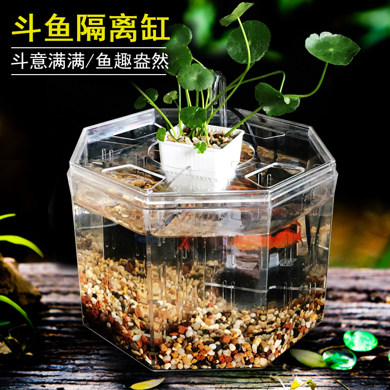 Small betta tank Acrylic isolation box Betta box Desktop fish tank Ornamental fish Small fish tank Breeding pump filtration