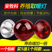 Breeding insulation bulb Pig roast lamp Chicken pig brood heating heating lamp Energy-saving breeding warm lamp Animal husbandry