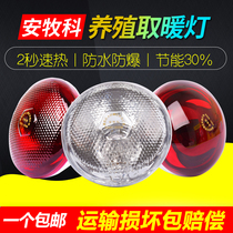 Insulation lamp pig with farm special heating light bulb small chicken Yukon piglet heating baking light warm bulb beast use