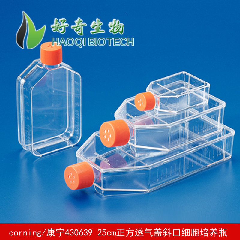 corning/康宁430639 25cm正方透气盖斜口细胞培养瓶 灭菌 20个/包