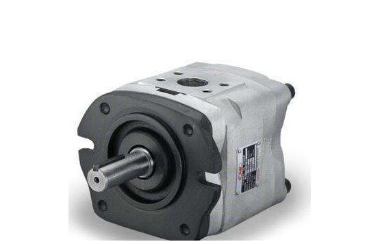 GMS Bay CML all-in-one meshing gear pump IGH-5F-40-R IGM-5F-40-R