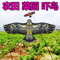 Manufacturer Weifang Kite Pastoral Eagle Bird Repellent Scare Bird Kite 1 8m 2m Bright Fabric Hot Print Cartoon Kite