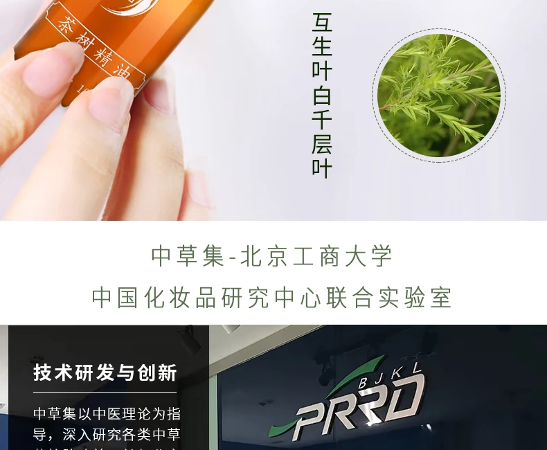 Zhongcao trà cây hợp chất tinh dầu 10ml giúp cải thiện lỗ chân lông thu nhỏ làm dịu da sửa chữa tinh dầu thơm - Tinh dầu điều trị