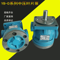 Medium pressure vane pump YB-D32 YB-D40 YB-D50 YB-D63 YB-D80 YB-D100 YB-D6