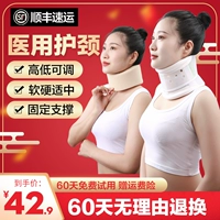 Шейный шейный отрезок