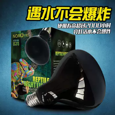 Reptile night light tortoise heating light lizard heating light Spider scorpion hamster pet heating light explosion proof night light
