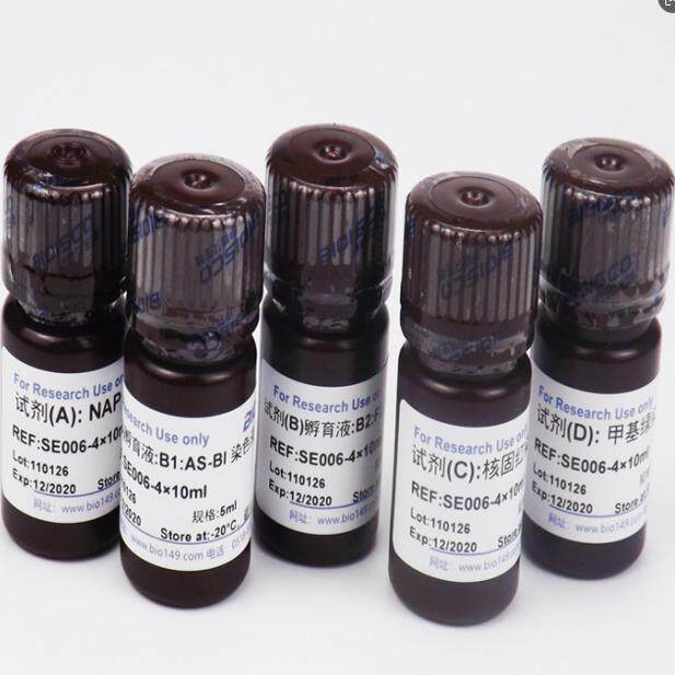 中性粒细胞碱性磷酸酶染色液(NAP) 2ml&times;4 现配溶液 高品质