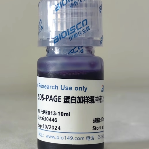 SDS-PAGE蛋白加样缓冲液（2&times;） （5&times;） 1ml*5 10ml 科研实验