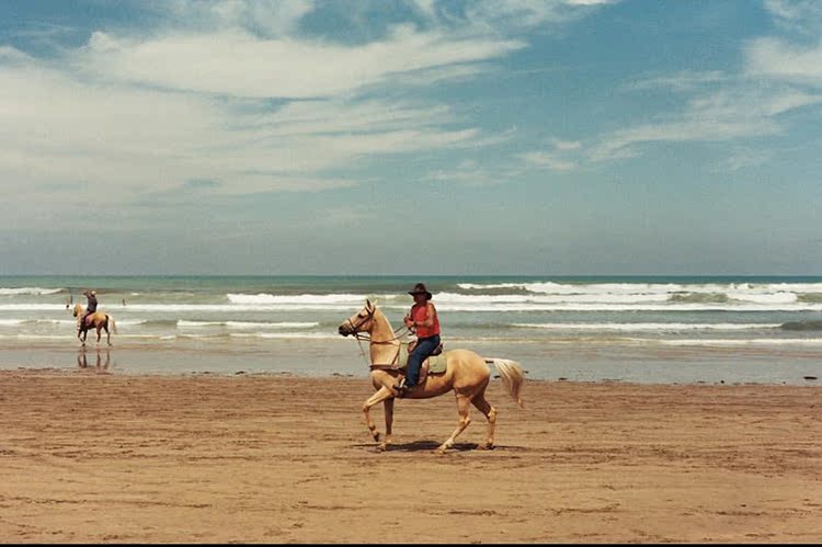 YASHICA ELECTRO 35GT GSN 40 1.7 máy quay phim rangefinder (với mẫu