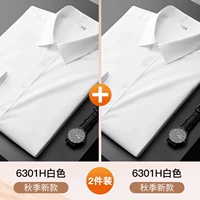 JK-JK-CX6301H WHITE+CX6301H Белый [два длинных рукава]