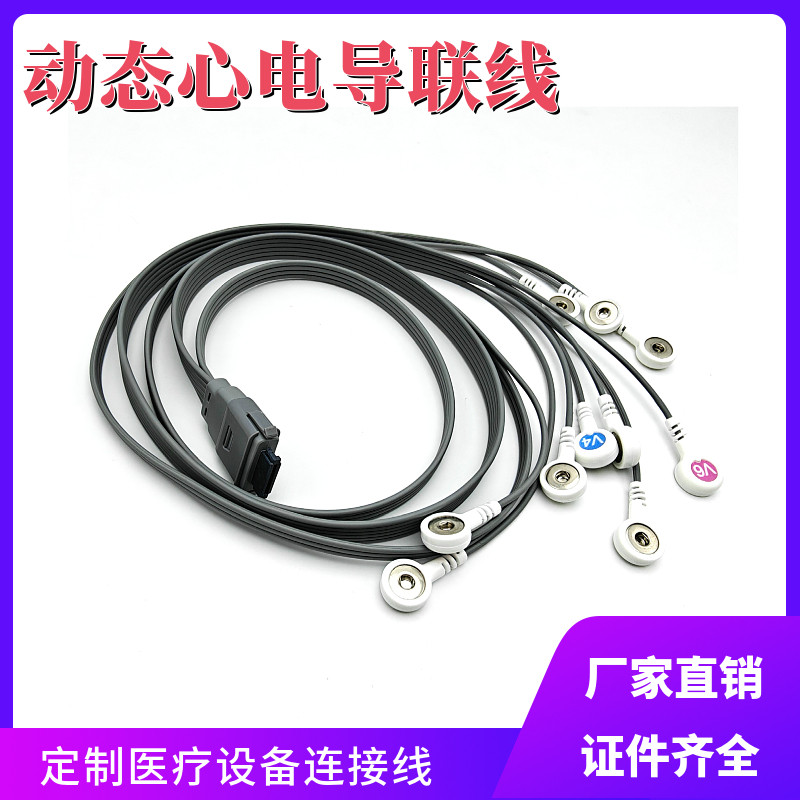 适用理邦博英BI9800动态心电记录盒电极线 动态心电图机导联线