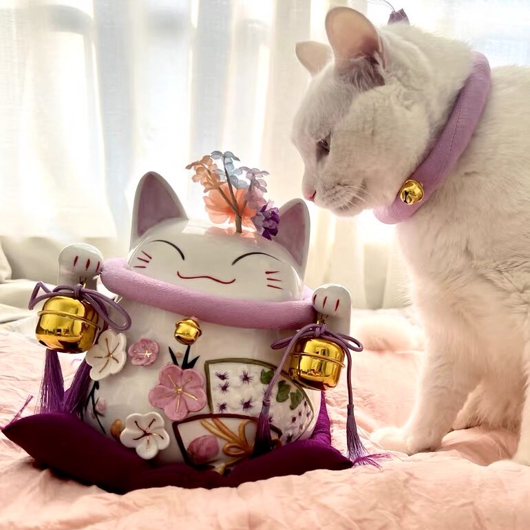 猫舍道乐堂本铺