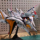 Точечный ремонт бытовой модели HGUC144HG Penelope big white goose ko Gundam flash Hassavi в сборе mini 2