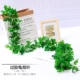 Mô phỏng lá nho mây lá nhựa dây leo hoa giả cây xanh lá cây nho ống quanh co trang trí trần - Hoa nhân tạo / Cây / Trái cây