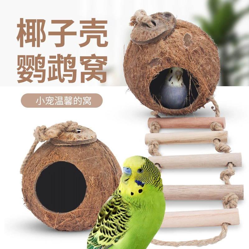 Vỏ sò Bird Nest Wenzhu Pearl Budgerigar Live Bird Nest - Chim & Chăm sóc chim Supplies