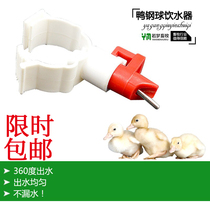 Duck automatic water drinker duck goose with steel ball water drinker duck nipple drinker duck water drinker