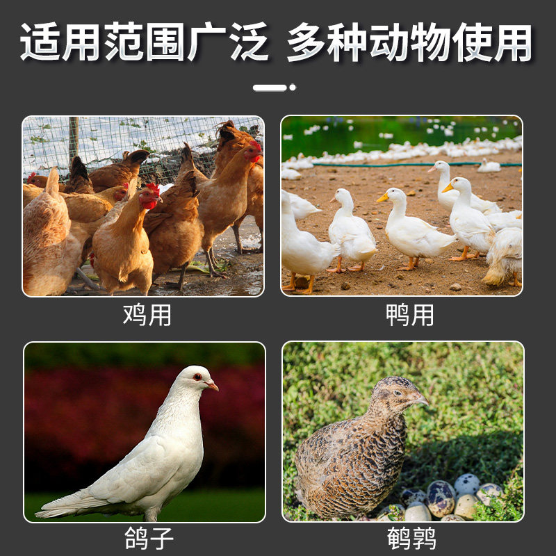 🔥高效自动喂食神器,省心养禽不求人!Chicken Feeder 自助下料器🌟-鸟禽喂食器-淘宝好物网