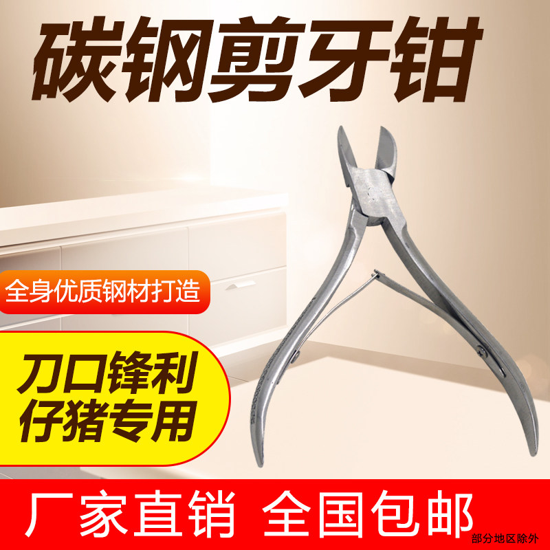 Stainless steel pig with cut-tooth pliers piggy piglet teeth beast with rabbit-cut teeth-cut pig teeth cut pig scissors pliers