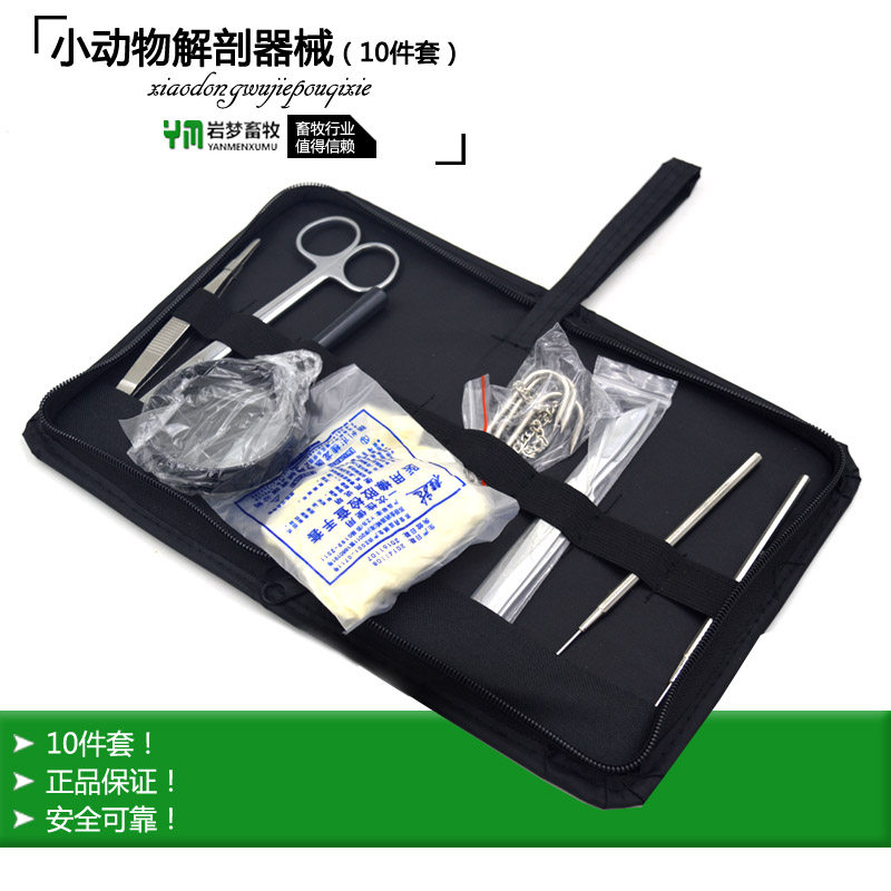 Small animal anatomy instrument package 10-piece set surgical scissors magnifying glass three-claw chain hook and other surgical planing tools
