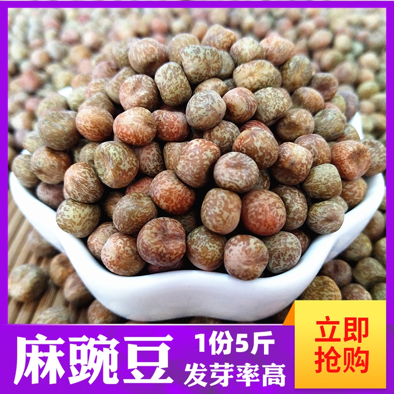 Pea 5kg farmers grow fresh dried peas, raw peas, raw peas, raw peas, pea sprouts, pea sprouts