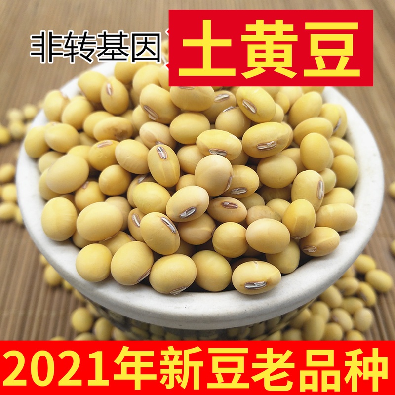 Soybean farmhouse self-bred non-genetically modified soybean oval old variety native soybean to make soy milk and make tofu 500g