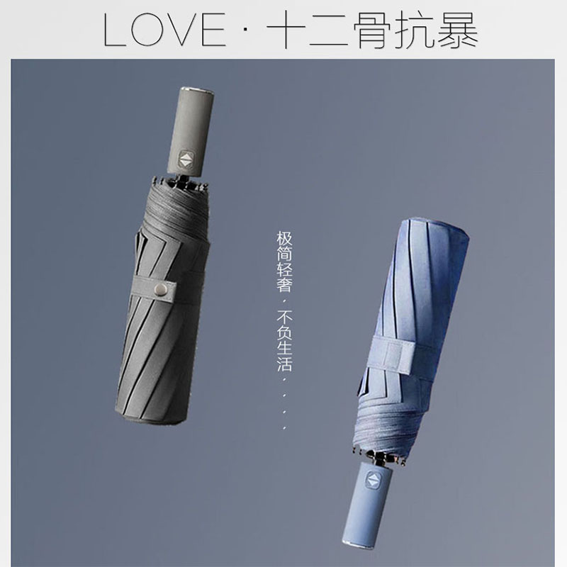 Germany twelve bones automatic umbrella Men's wind-resistant large reinforced folding barometer rain dual-use men's and women's s simple umbrella