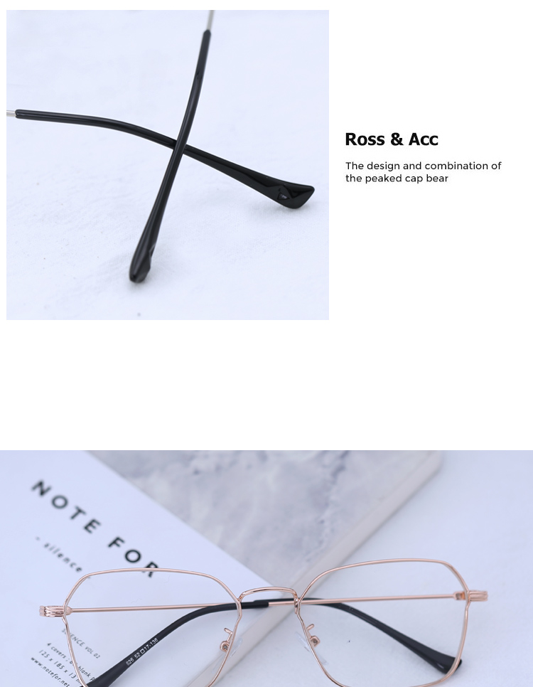 Montures de lunettes en Alliage cuivre-nickel - Ref 3139920 Image 16