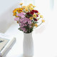 Chrysanthemums, small daisies, flowers, Ping Pong chrysanthemums, Yunnan Kunming base, straight hair, indoor water cultivation, vase flowers, air transport