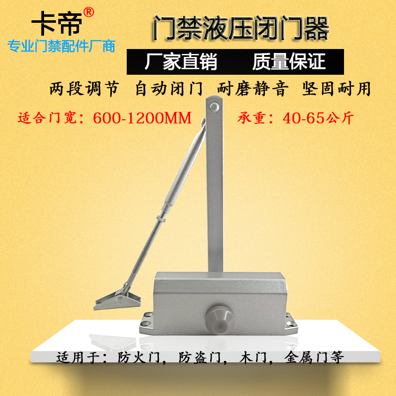 Access door closed door HYDRAULIC BUFFER FIRE DOOR FIRE DOOR OUTDOOR IRON DOOR AUTOMATIC CLOSING MACHINE DOOR CLOSURE WITHOUT POSITIONING