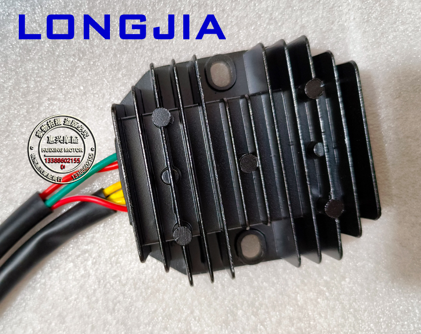 Dragon Gia V LJ250-2V Manoeuver Rectifiers Charger (V Cafe V A Big Mac Universal) -Taobao