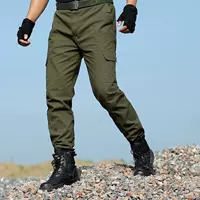Зеленые хлопковые штаны