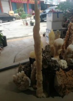 Bell Breast stone column bell Dairy stone Natural original stone Chiishi Guangxi Zhong Dairy stone View stone mineral crystal garden fish tank