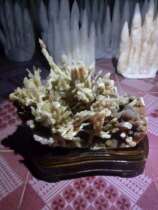 Natural bell milky stone vinite stone-stone-shaped stone ornamental stone waterstone Crystal Cavern Stone Stone Shoots Bell Milky Pendulum