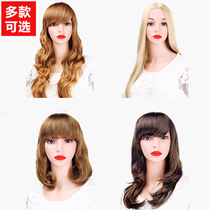Gia model wig props female Japan South Korea Europe and the United States R series exercise head model hair set wig styles are various