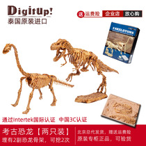 Thailand imported dinosaur fossils archaeological excavation toy skeleton assembly simulation model parent-child manual diy production